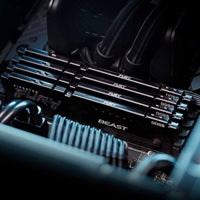 Kingston FURY Beast KF556C40BB-8 8GB System Memory, 5600MT/s, DDR5, CL40, DIMM, Black, AMD EXPO Certified Kingston FURY Beast KF556C40BB-8 8GB System Memory, 5600MT/s, DDR5, CL40, DIMM, Black, AMD EXPO Certified